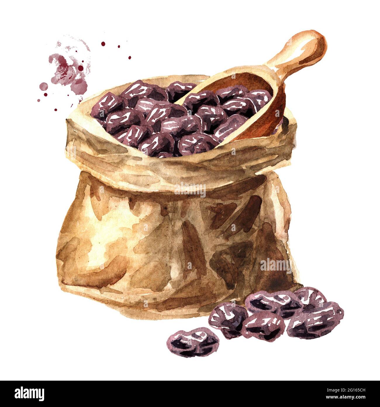 Drawable Raisins Dried dark raisins in the paper sack. Hand drawn watercolor ...