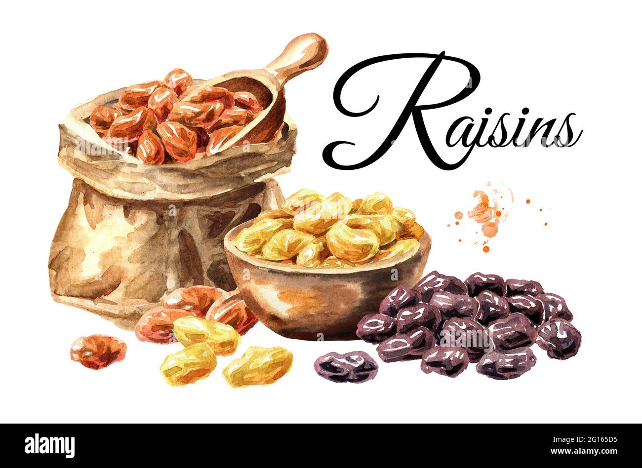 Various raisins card. Hand drawn watercolor illustration isolated on