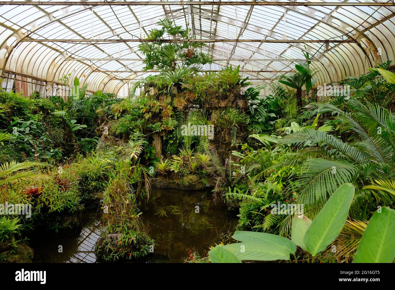 Brazil Sao Paulo - Greenhouse in Botanical garden Stock Photo - Alamy