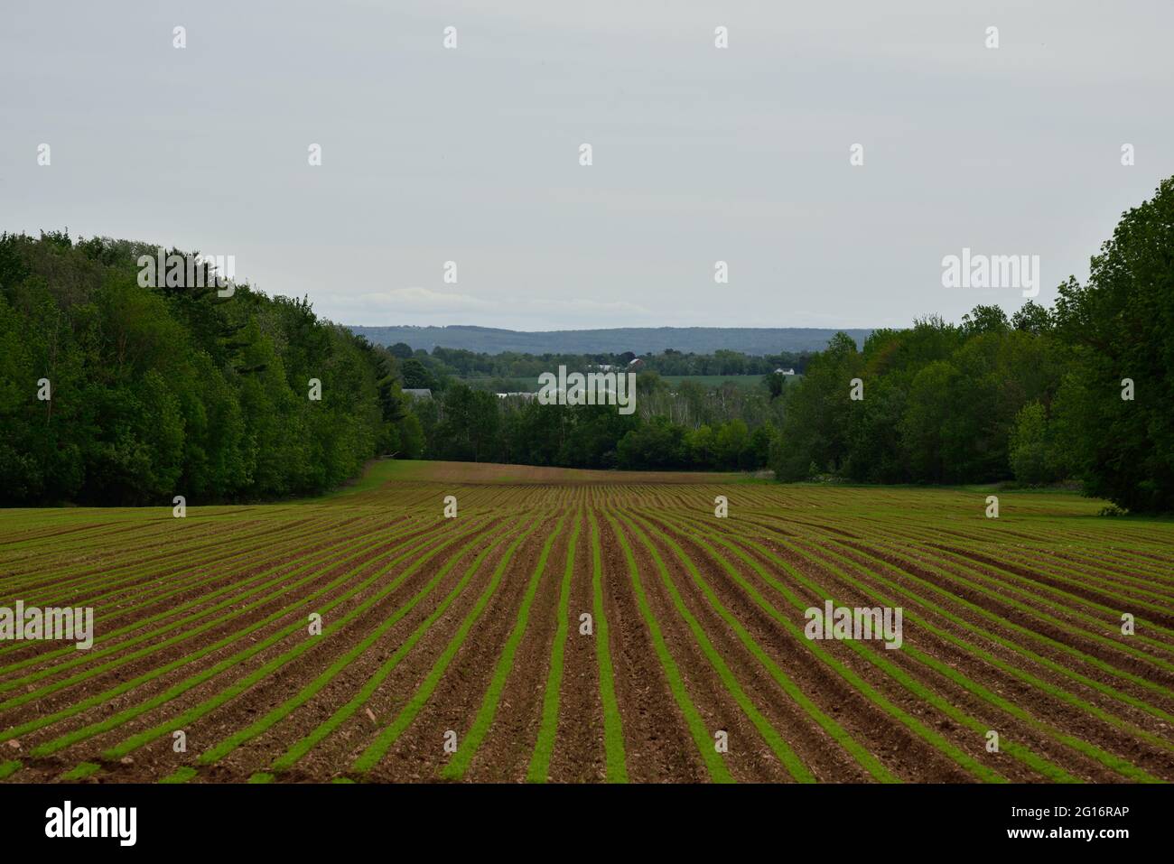 The Annapolis Valley in Nova Scotia is one of three major food