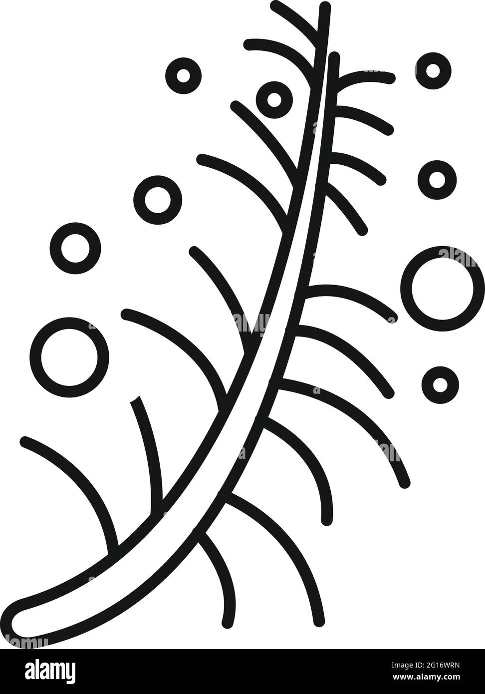 Essential oils plant icon, outline style Stock Vector