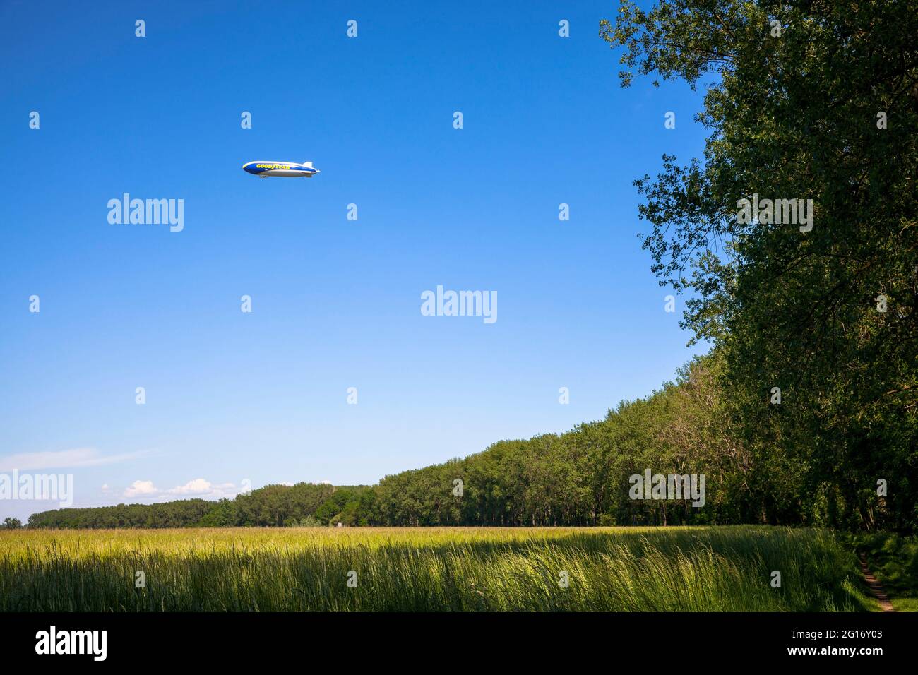 a blimp airship above the Worringer Bruch, an 8000 year old silted up meander of the Rhine. At 37.5 meters above sea level, the floodplain is the lowe Stock Photo