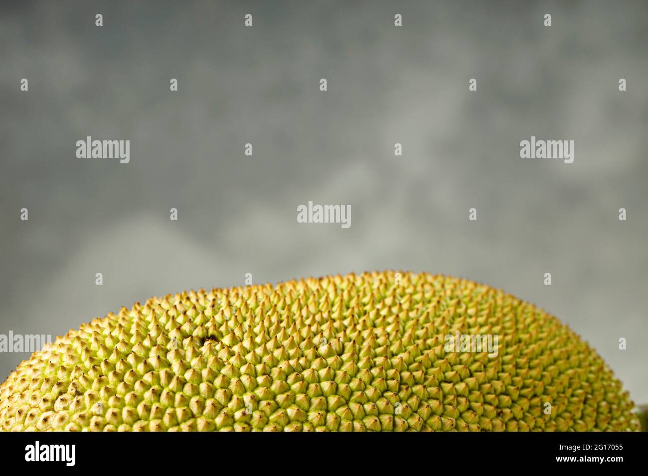 Jackfruit arranged beautifully in a grey and white textured background, isolated. Stock Photo