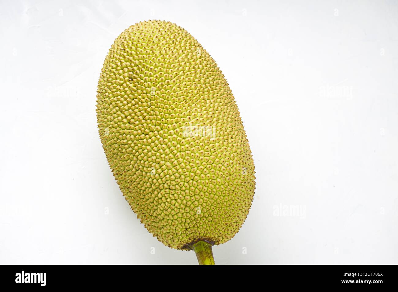Jackfruit arranged beautifully in a grey and white textured background, isolated. Stock Photo