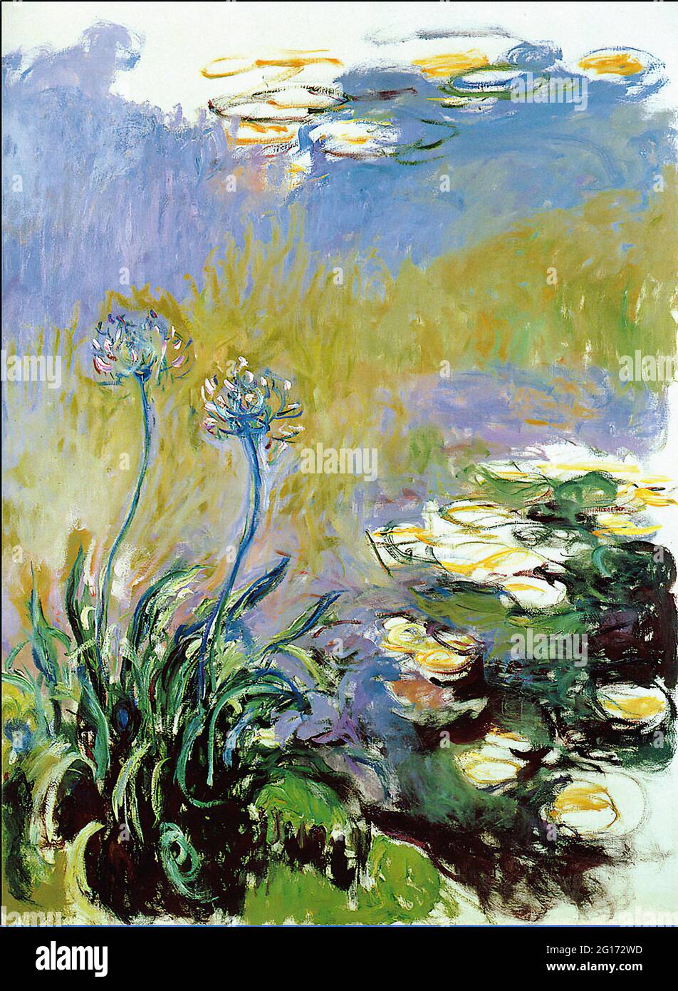 Claude Monet -  Agapanthus 1917 Stock Photo