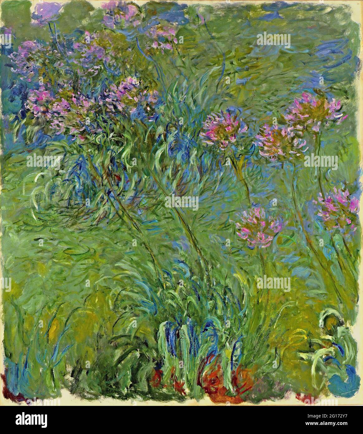 Claude Monet -  Agapanthus Flowers 1917 Stock Photo