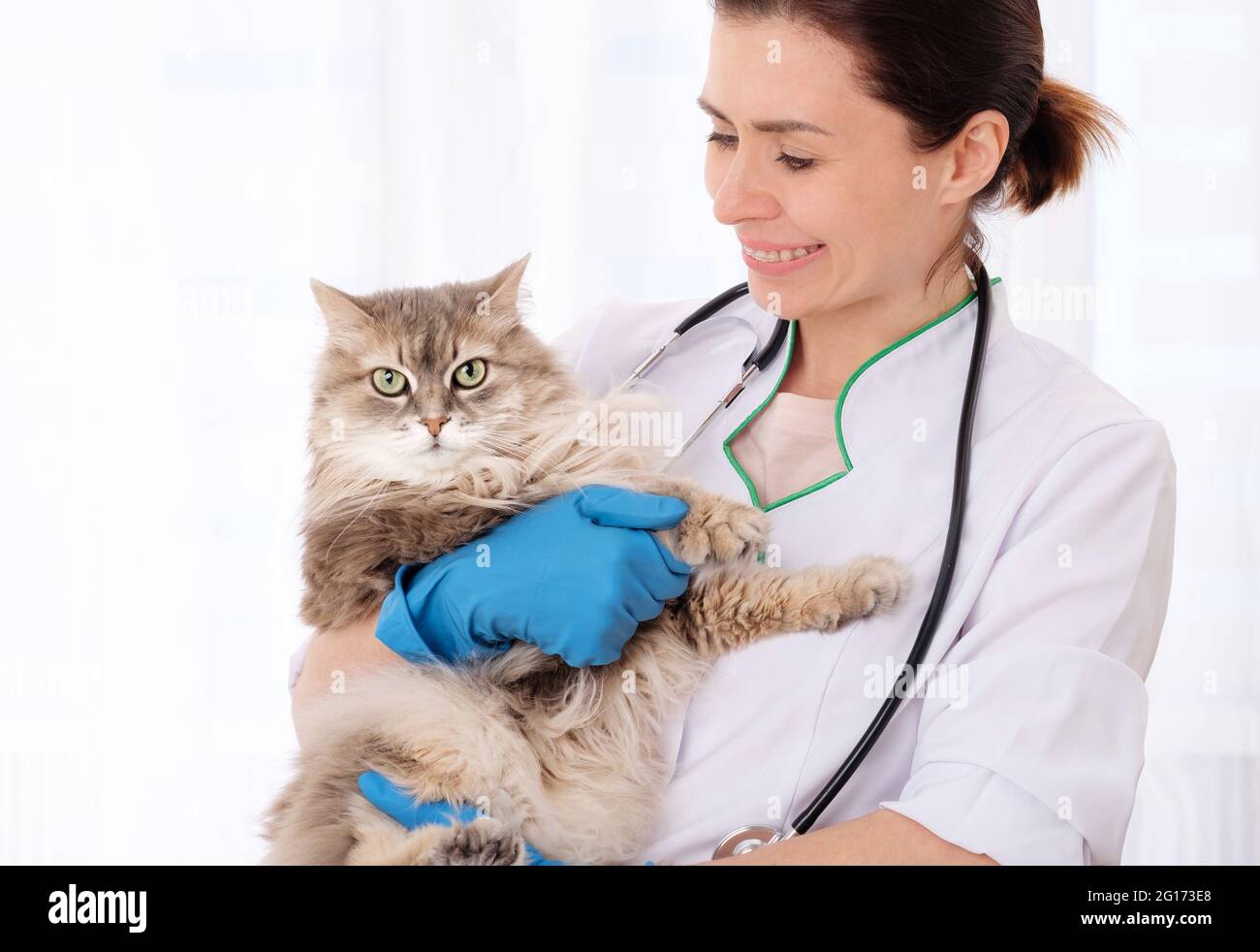 Veterinary appointment hi-res stock photography and images - Alamy