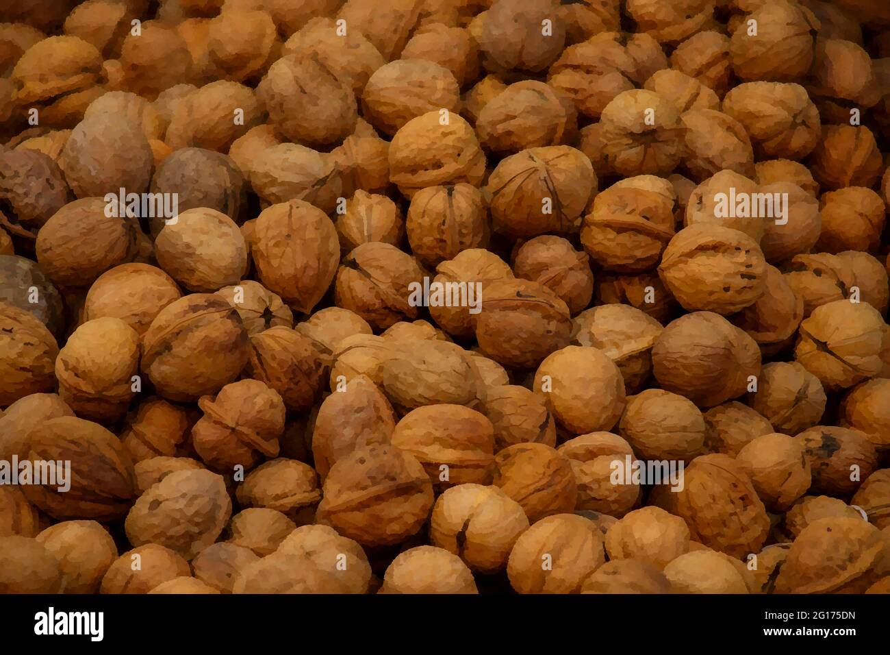 digital painting of walnut fruits Stock Photo