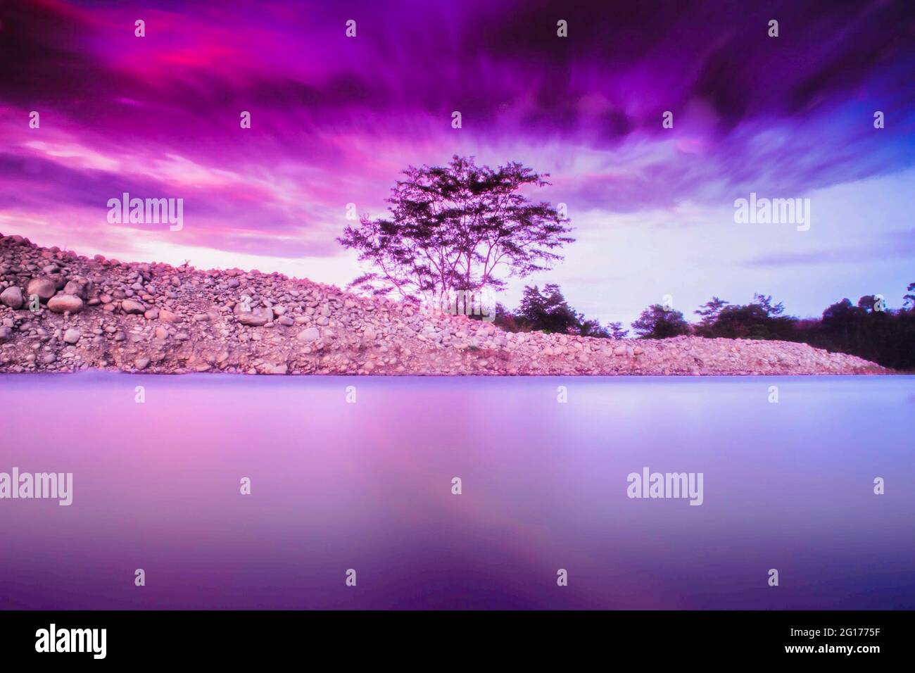 Summer landscapes lonely tree hi-res stock photography and images - Alamy