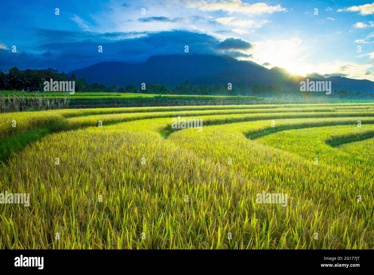 Beauty Sunlight At Mountain Range Indonesia Stock Photo Alamy Beauty Sunlight At Mountain Range Indonesia Stock Photo Alamy