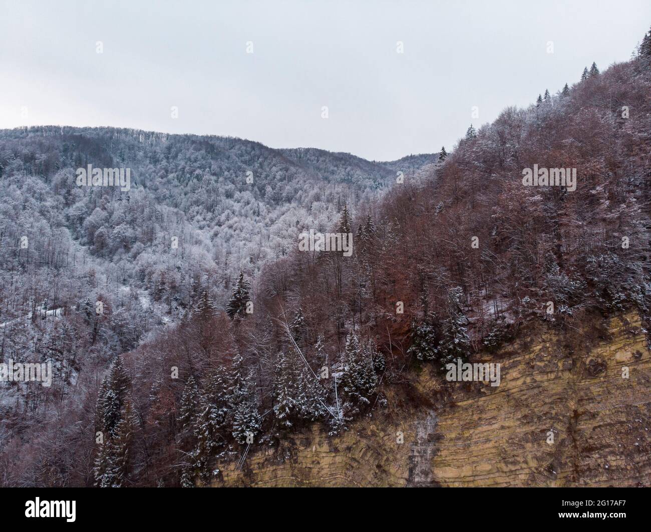 Wonderful landscapes of the Carpathian Mountains covered with snow at Cloudy Day in Ukraine near the village of Vyzhnytsia and River Cheremosh Stock Photo