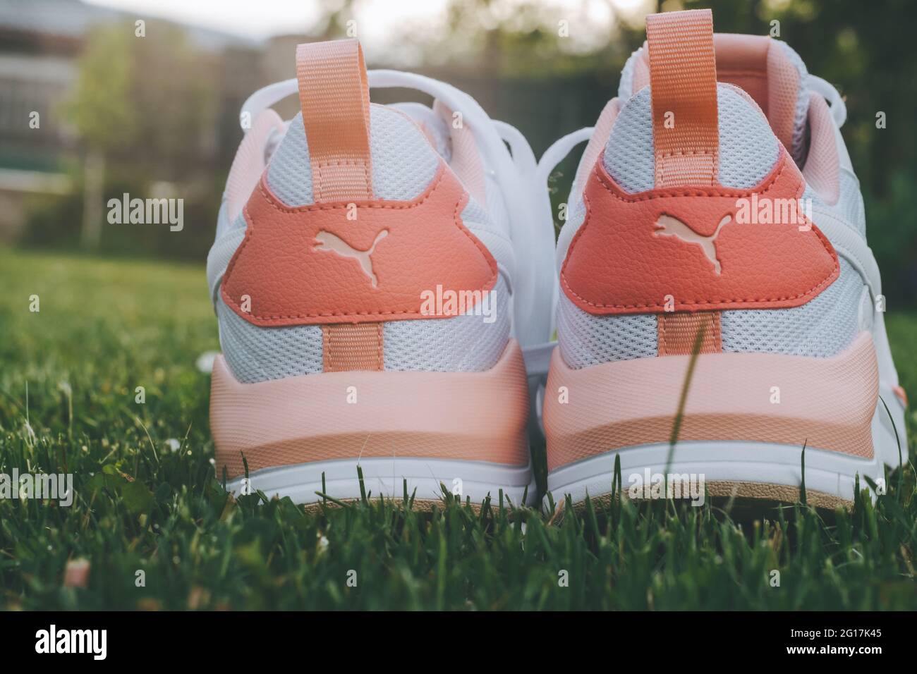 puma sneakers i the grass 