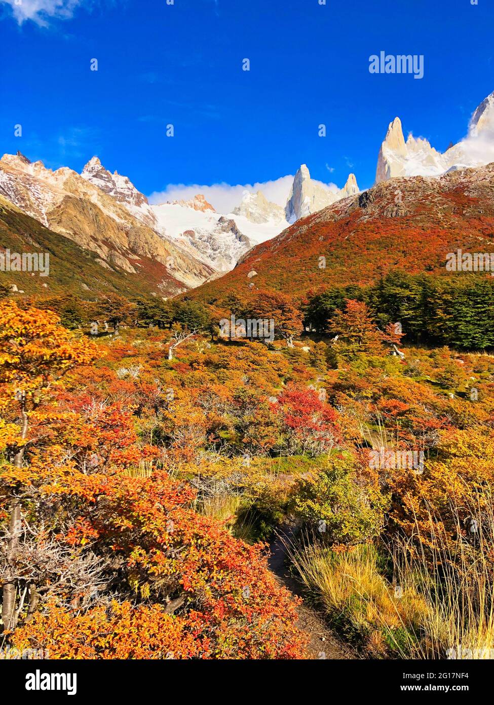 South America-Patagonia- Chile and Argentina. Views of Fitz Roy, Torres del Payne, Glacier Rivers and Fall colors. Stock Photo