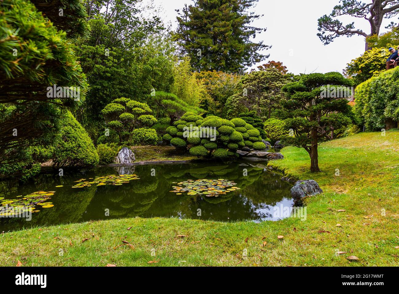 Green landscape of Japanese Tea Garden in Golden Gate Park, San Francisco Stock Photo
