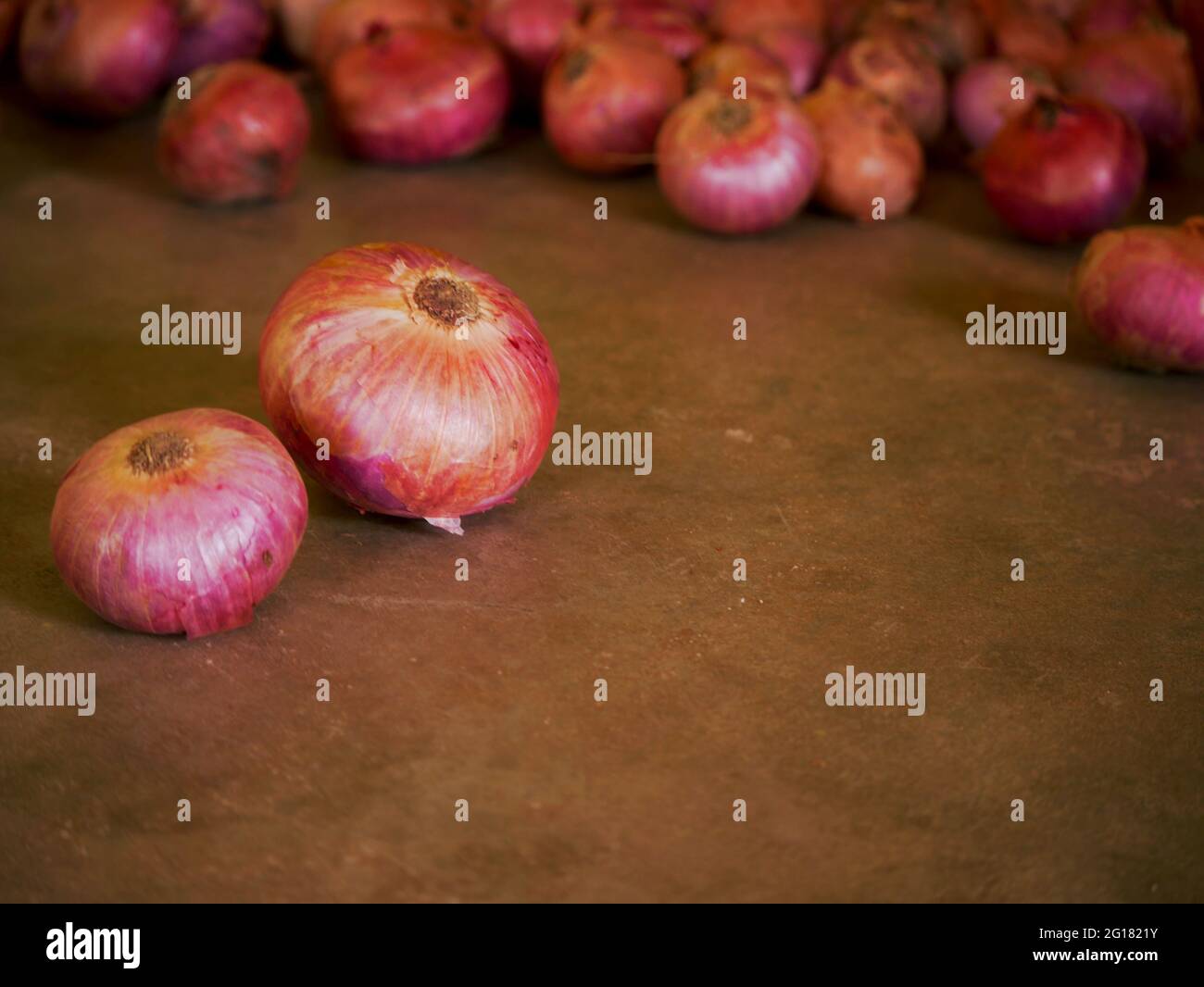 Double onion presented with huge stock on blur background Stock Photo