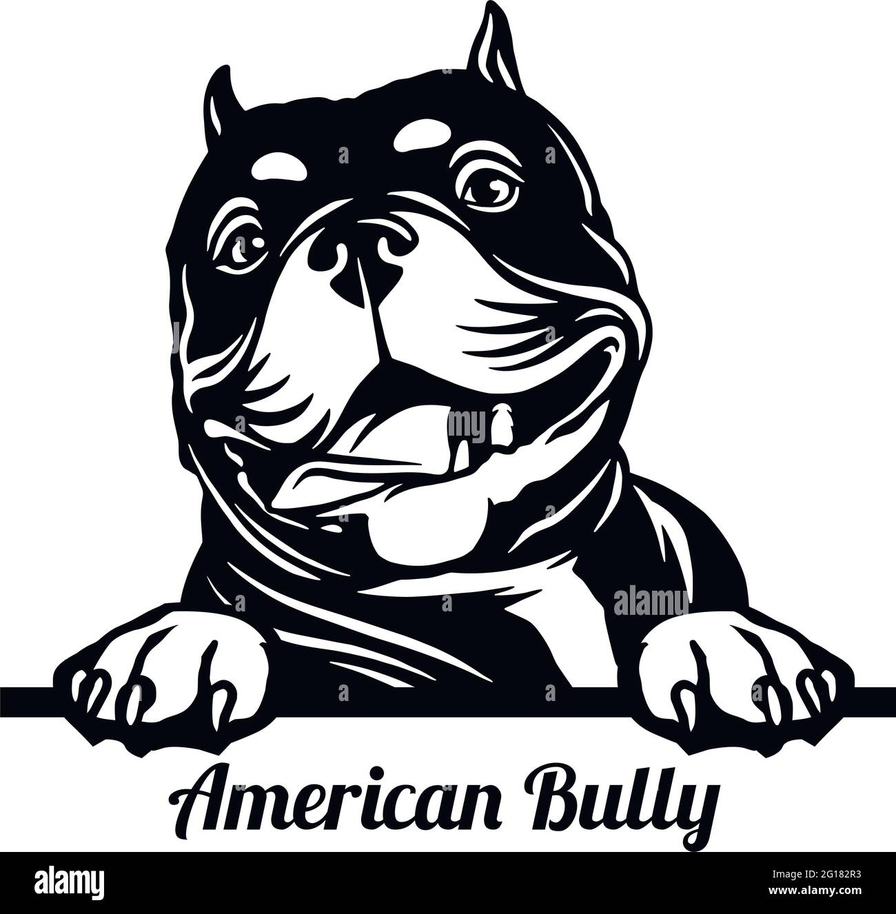 American Bully Peeking Dog - head isolated on white - vector stock Stock  Vector Image & Art - Alamy