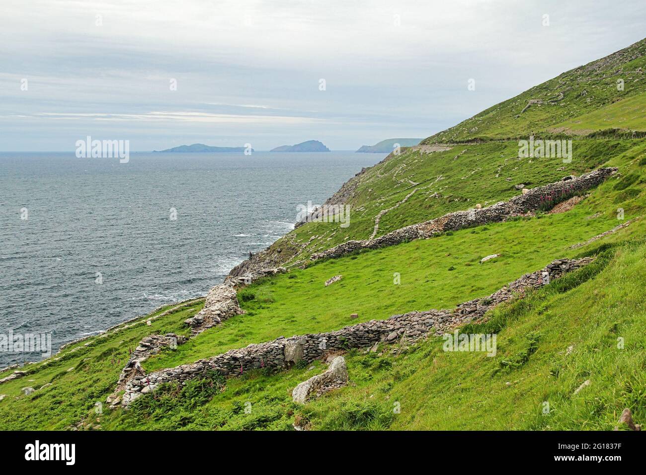 Slea Head Drive is a spectacular driving route that forming part of the Wild Atlantic Way that weaves and twists around the coast from Dingle, County Stock Photo
