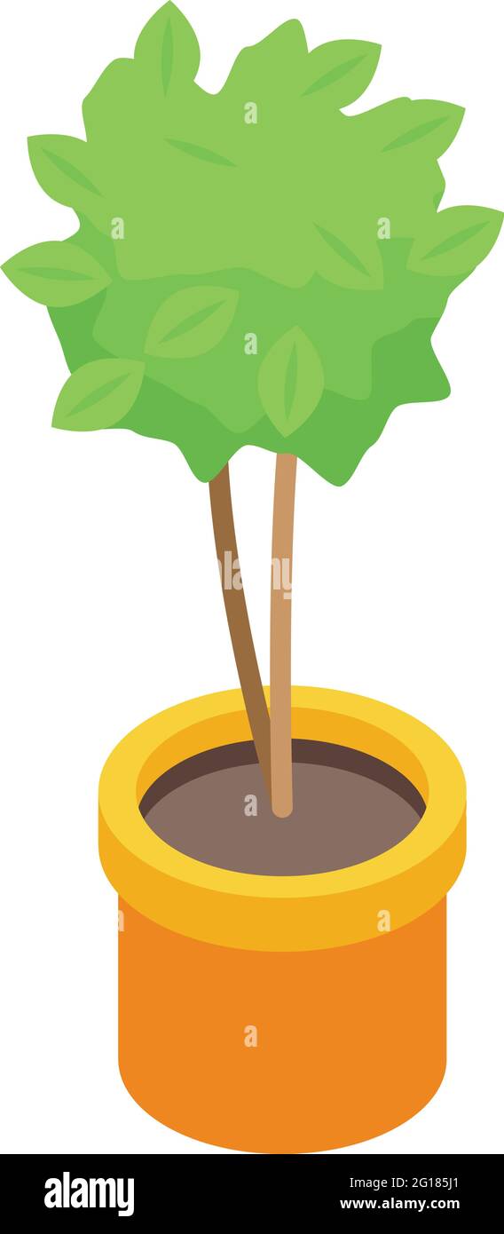 Tree pot plant icon. Isometric of Tree pot plant vector icon for web ...