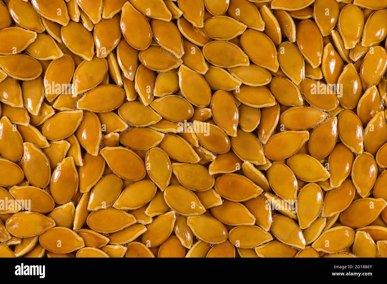 Fresh Natural Goliath Pumpkin Seeds Full Frame Stock Photo