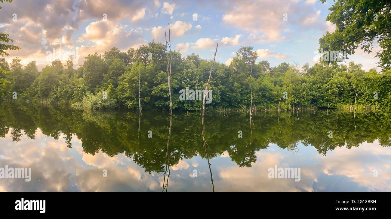 Flood submerged trees hi-res stock photography and images - Alamy