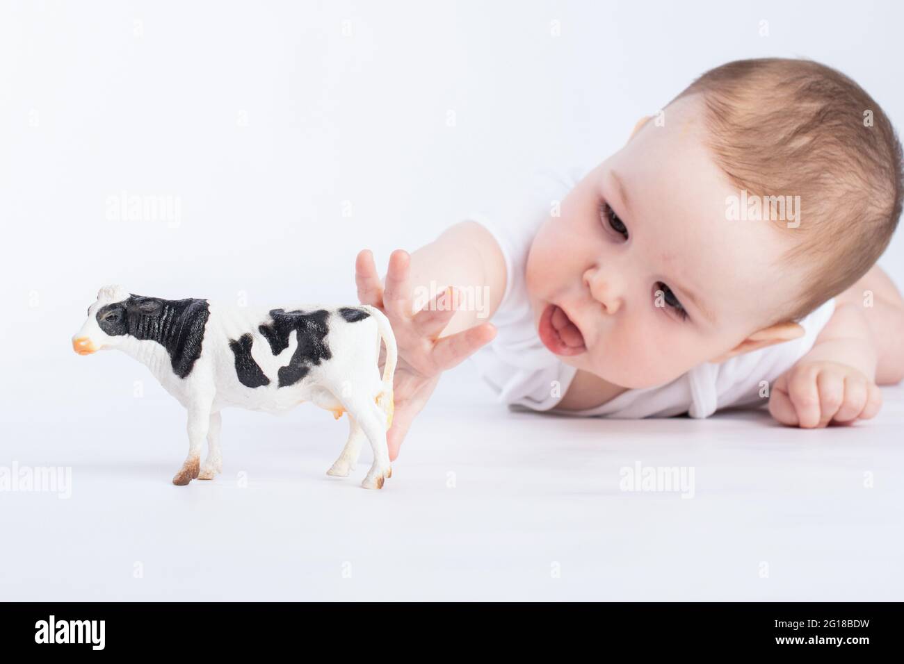 baby and dairy products, concept Stock Photo