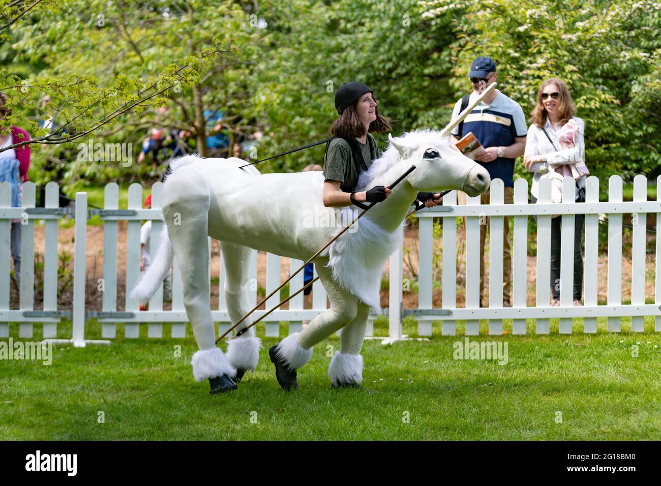 Puppet Nudge Nudge puppets hi-res stock photography and images - Alamy