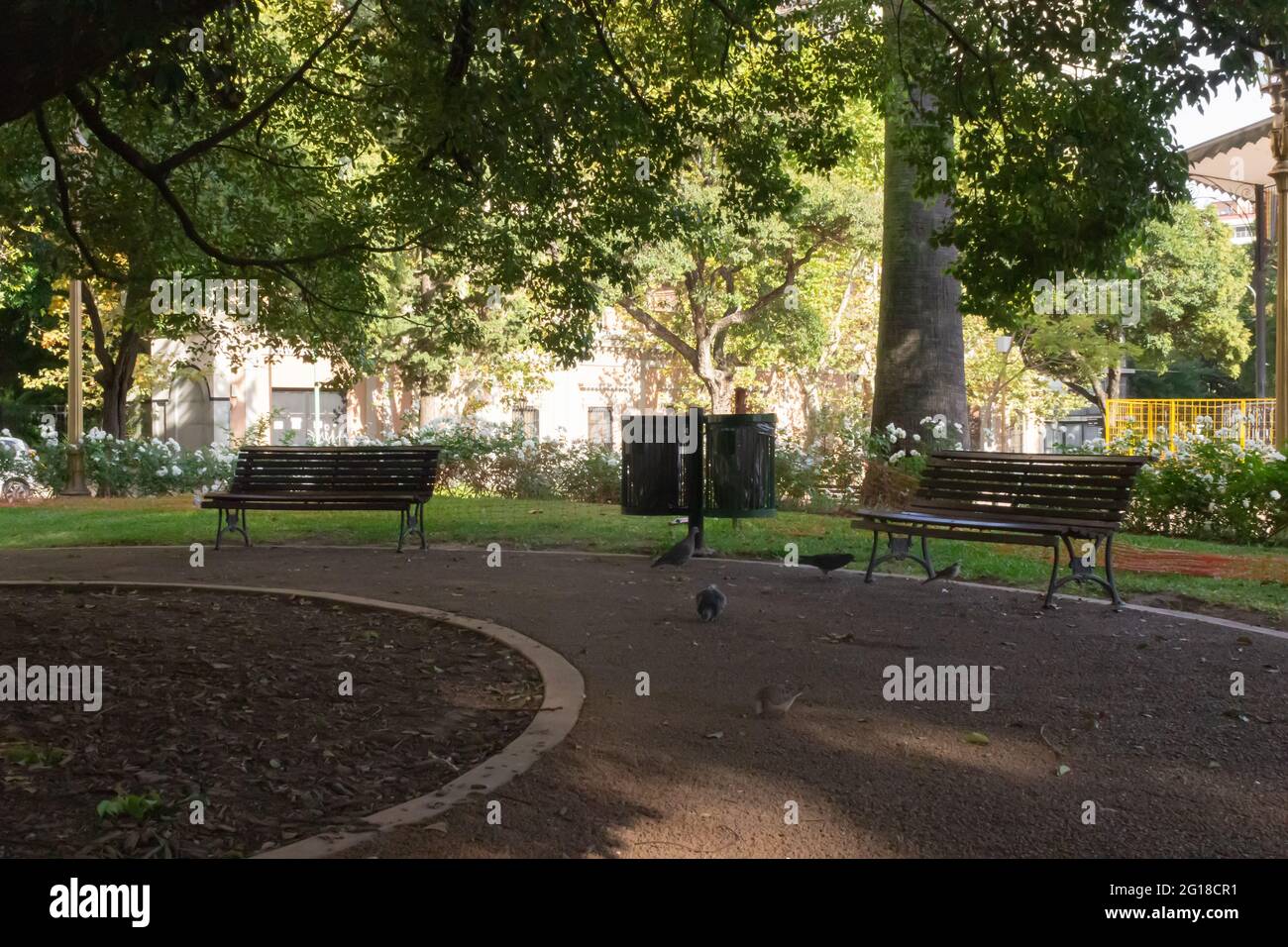 Empty park bench trees day hi-res stock photography and images - Alamy