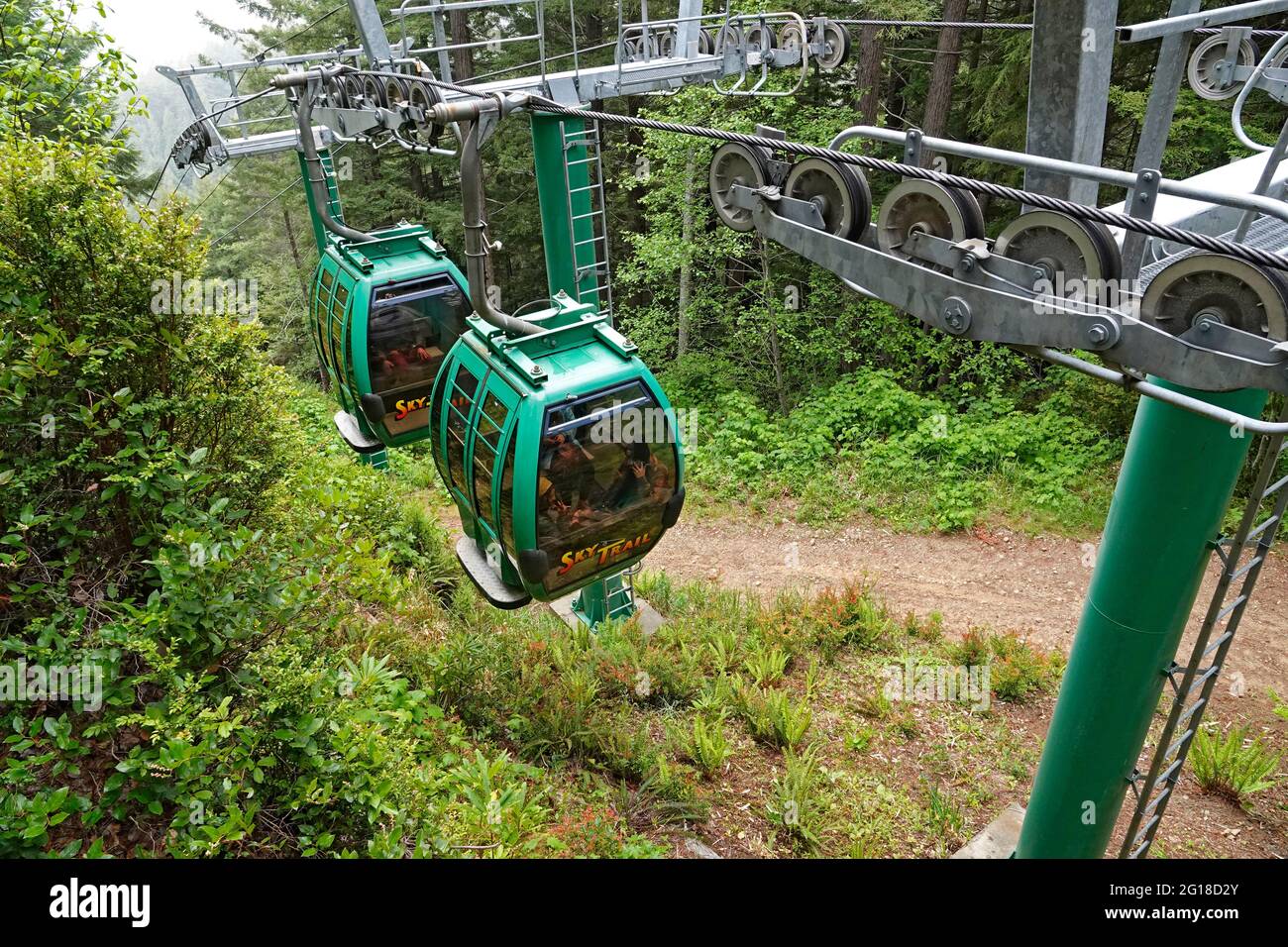 A gondola system carries visitors to The Trees Of Mystery in northern