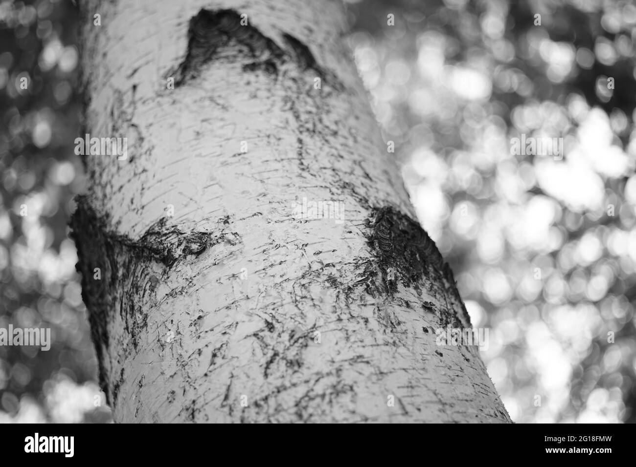Close up view wind Black and White Stock Photos & Images - Alamy