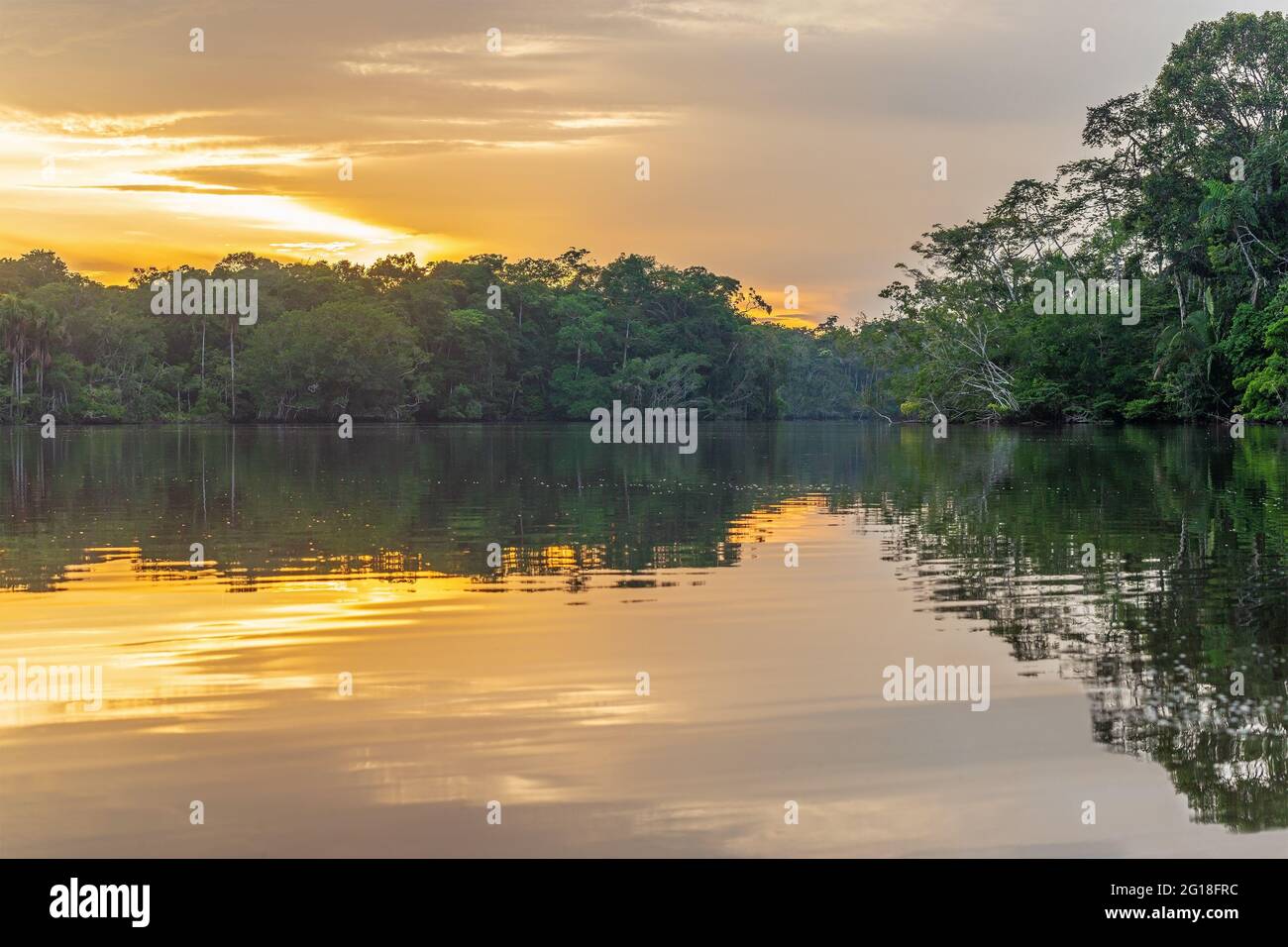 Amazon Rainforest lagoon sunset, generic landscape found in Brazil, Bolivia, Colombia, Ecuador, French Guyana, Suriname, Peru, Venezuela. Stock Photo