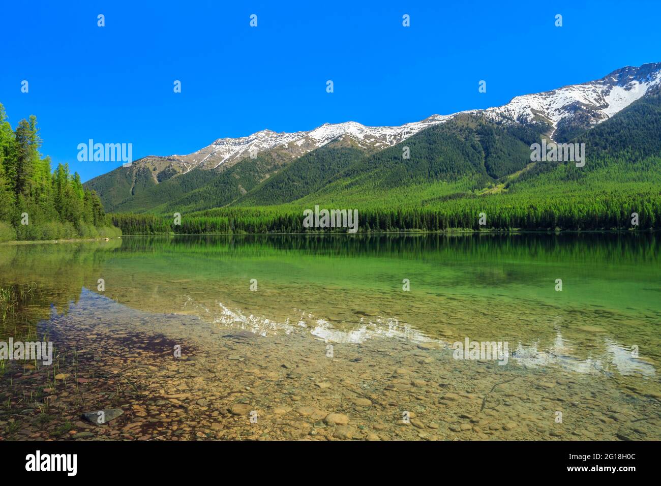 clearwater lake below the swan range in lolo national forest near
