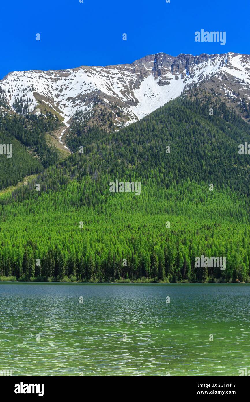 Mt d2021 hires stock photography and images Alamy