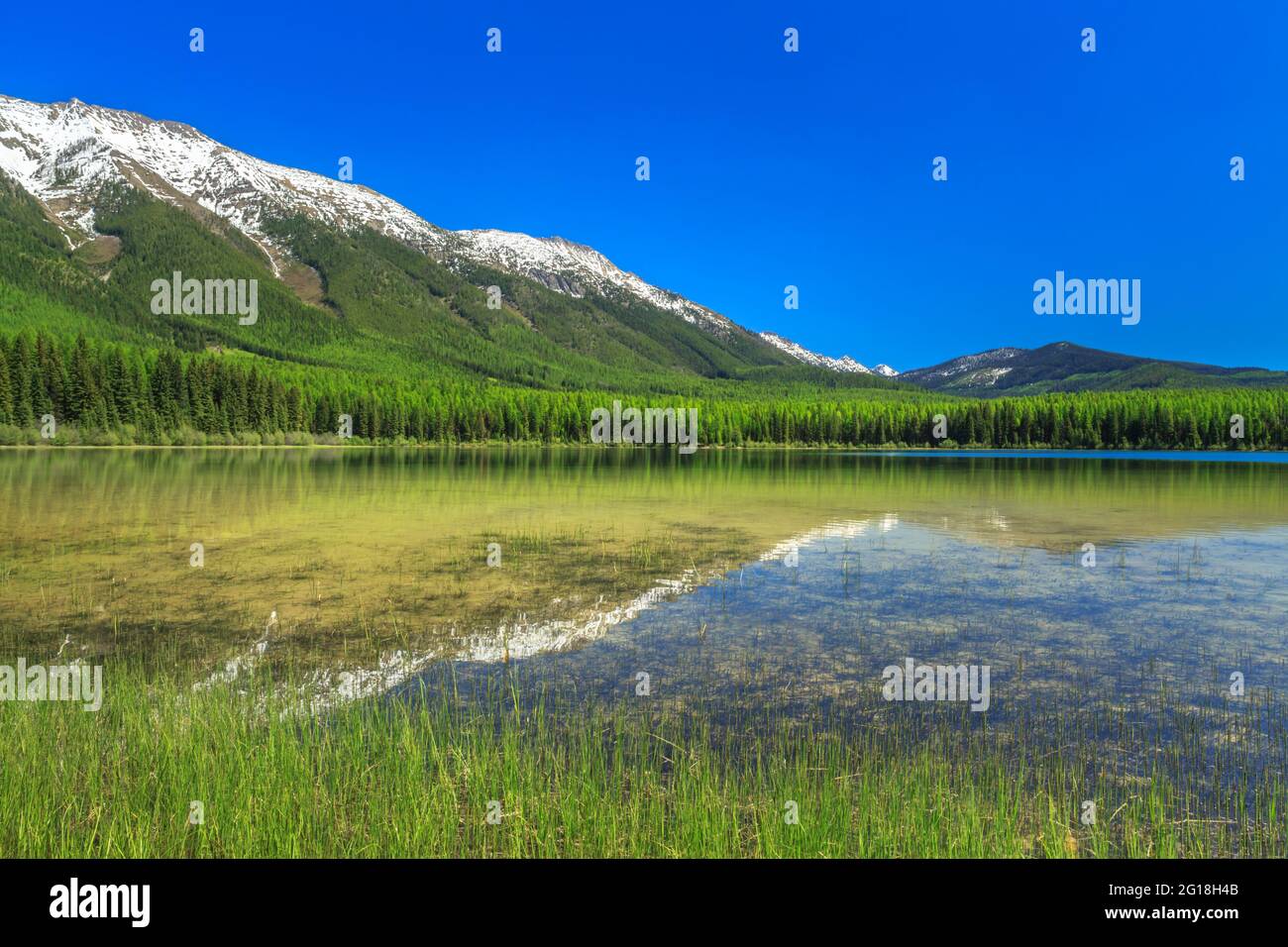 Mt d2156 hires stock photography and images Alamy