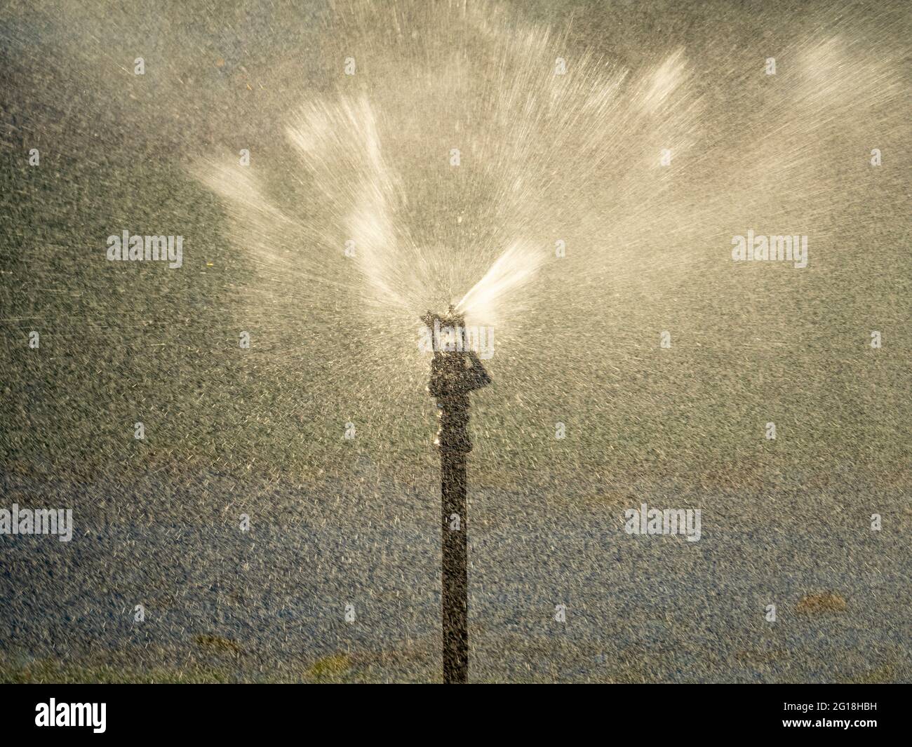 Lawn Sprinkler Head Spraying Water