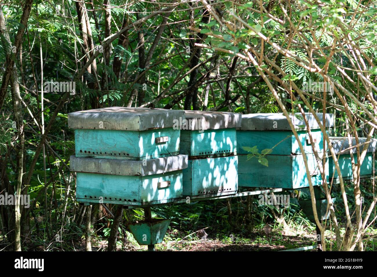 Green simple beehives in Uganda Stock Photo