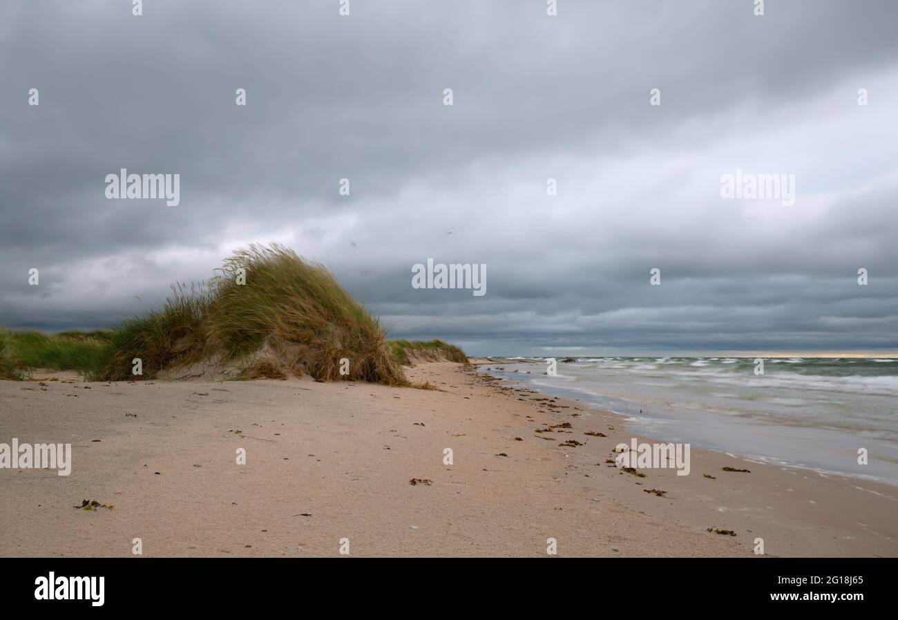 Sand dunes and vegetations by the sea a windy evening Stock Photo