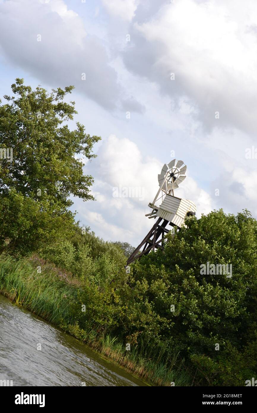 Black and white wooden windmill (wind pump) half obscured by lush green trees and bushes on the bank of a river or lake (waterway). Norfolk Broads, UK Stock Photo