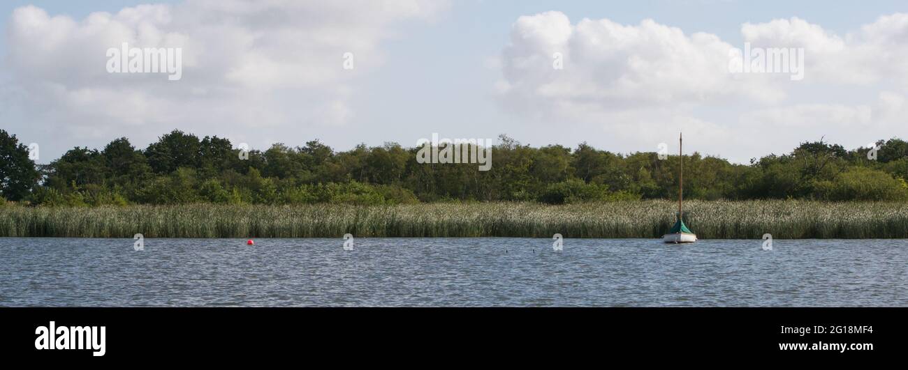 Gorgeous panorama of the edge of a lake or river: monotonous green reedbeds, with trees and bushes in background; one red floating buoy and one moored Stock Photo