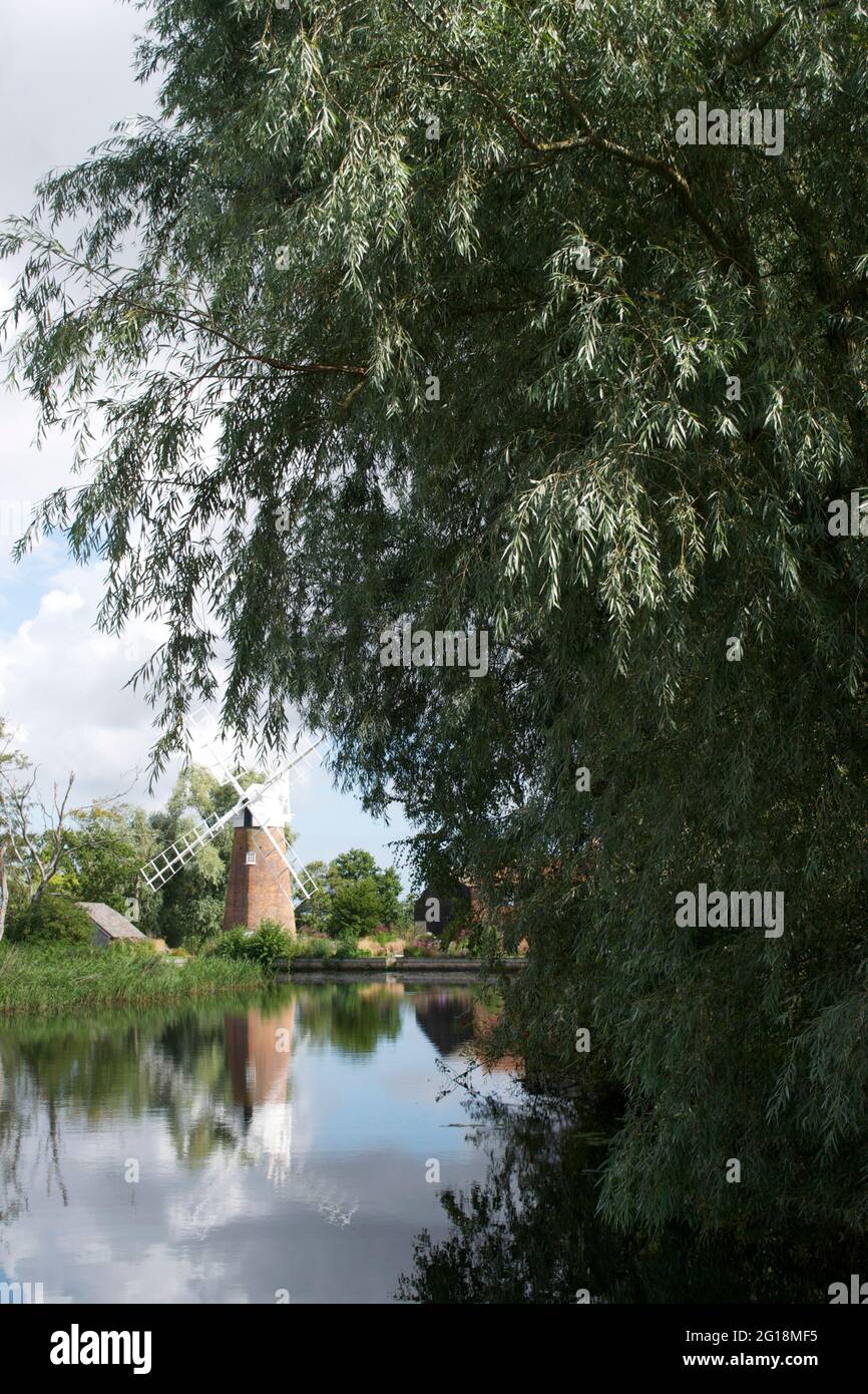 Tall green willow tree on the bank of a river, with a traditional windmill reflected in the water in the background. Stock Photo