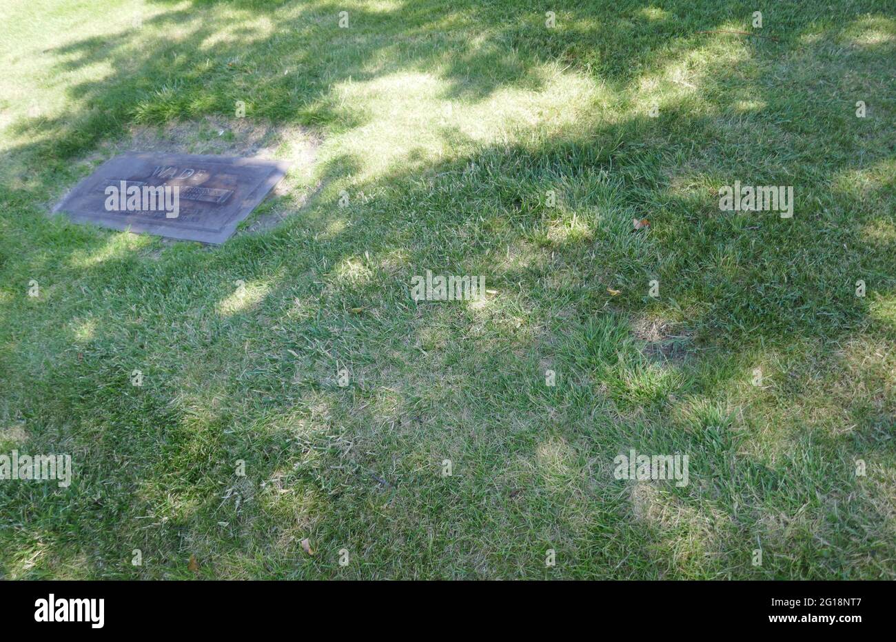 Andrae crouch color purple hi-res stock photography and images - Alamy