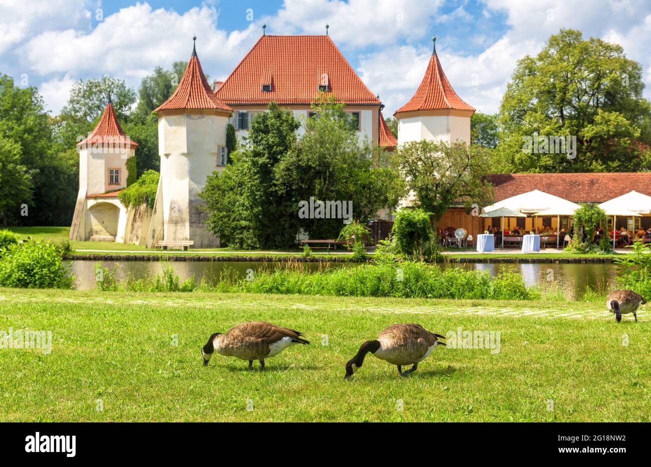 Ducks walk in green park meadow by old Blutenburg Castle, Munich, Bavaria, Germany. It is tourist attraction of Munich city. Scenic view of medieval G Stock Photo