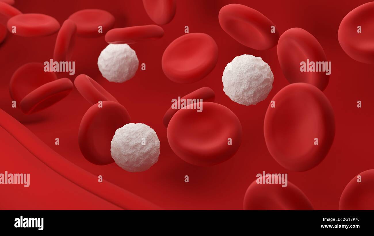 Red and white blood cells. Leukocytes and erythrocytes. 3d illustration. Stock Photo