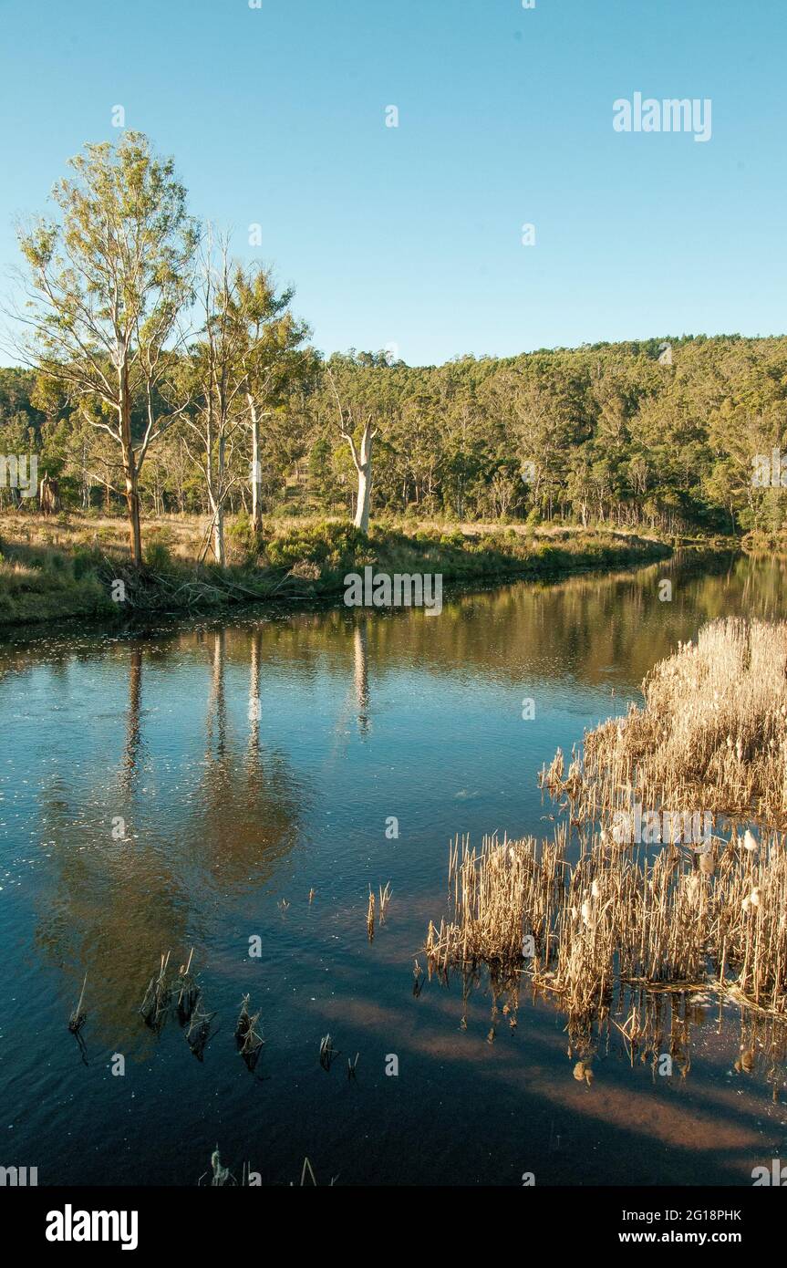 Mersey River at Weegena,  northwest Tasmania, Australia Stock Photo