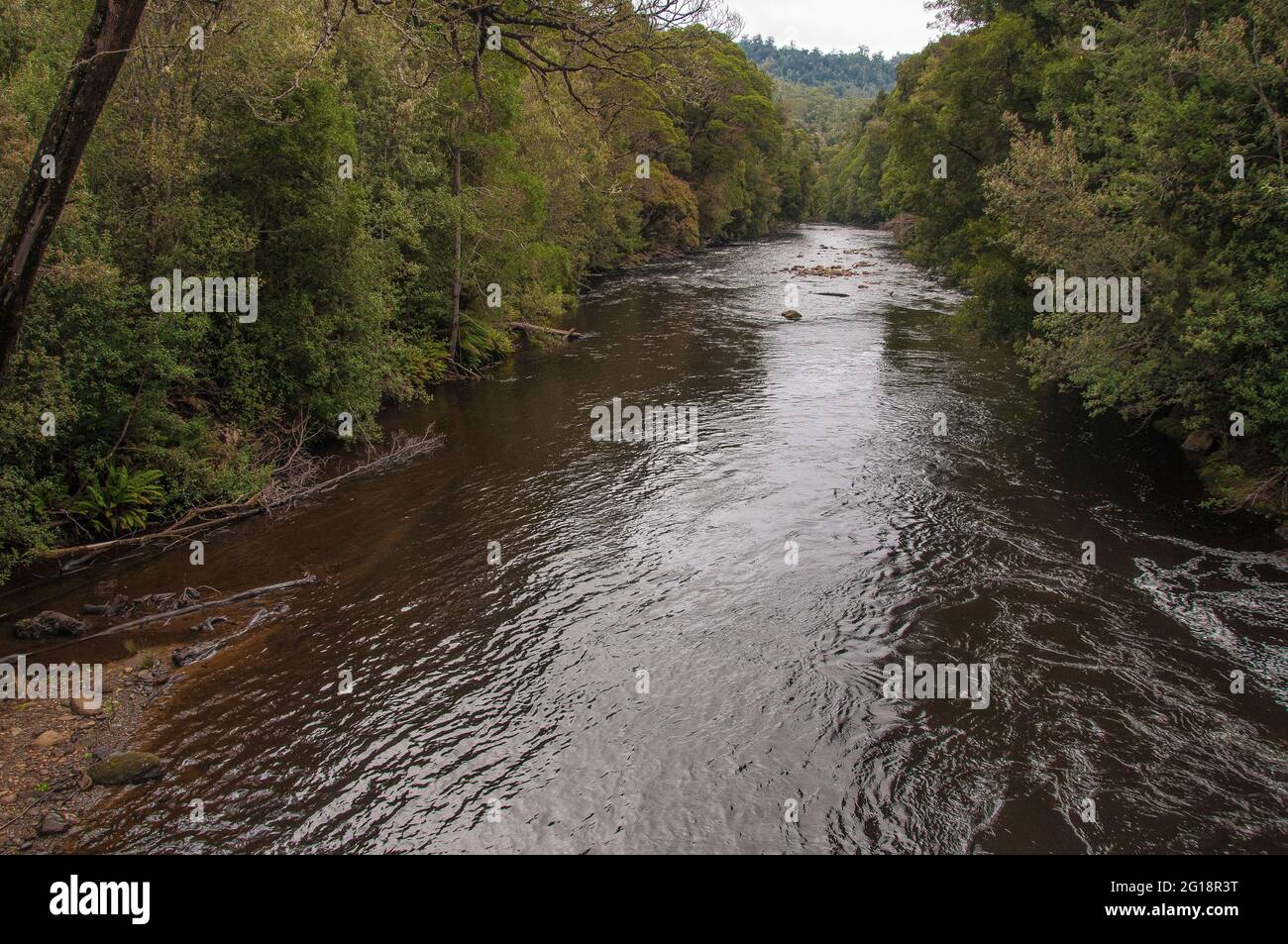 Forest-lined Hellyer Gorge, beside the Murchison Highway in northwest Tasmania, Australia Stock Photo