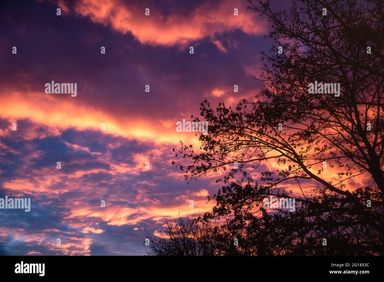 Dramatischer Panorama Wolkenhimmel mit schrillen Farben in hoffnungsvolle Jenseits Stimmung. Morgenröte im Frühling mit spektakulären Wolken. Stock Photo