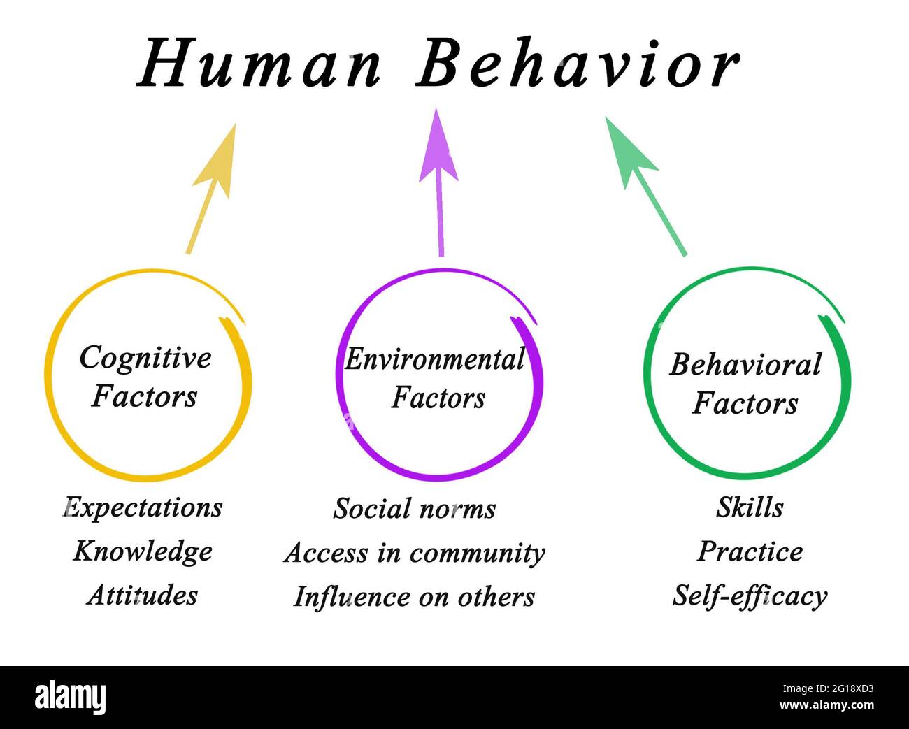 Three Determinants of Human Behavior Stock Photo
