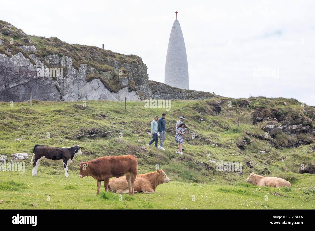 Baltimore, Cork, Ireland. 05th June, 2021. Tourists wander around resting cattle on the headland and cliffs during a warm bank holiday weekend at the Beacon in Baltimore,  West Cork, Ireland. - Credit; David Creedon / Alamy Live News Stock Photo