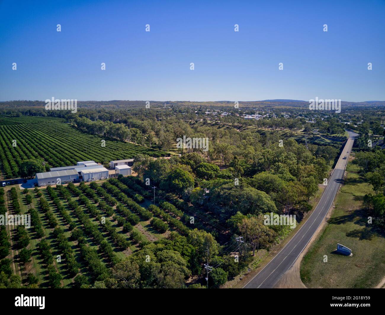 Ironbark Citrus Orchard Mundubbera North Burnett Queensland Australia ...