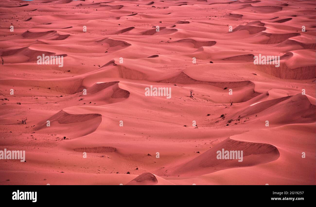 Red Sand Dunes, Red Sands Nissah, Riyadh Kingdom of Saudi A…