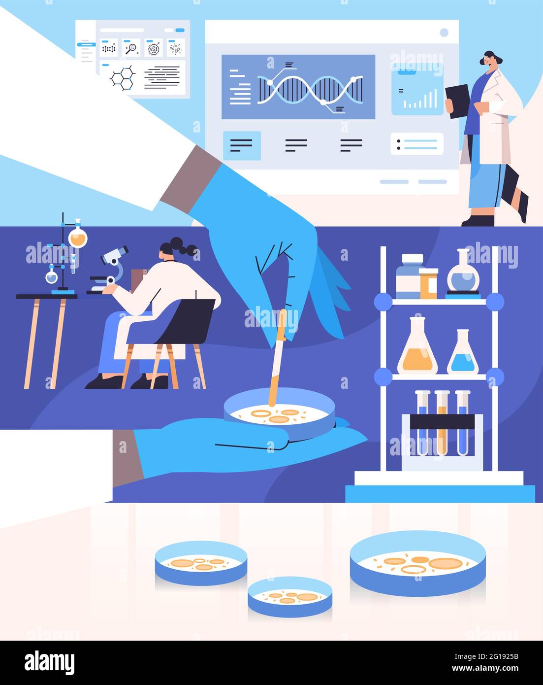 scientist working with petri dish with agar bacterium colony